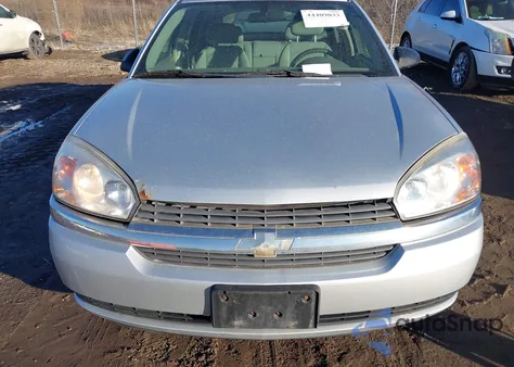 2005 Chevrolet Malibu Maxx Ls z USA, uszkodzony, nr VIN 1G1ZT64825F171539